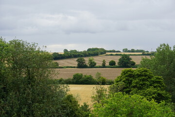 fields, summer, suffolk, uk, July 2025, fields in summer, dry season, heatwave, 