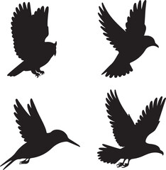 a silhouette illustration of 4 difference birds