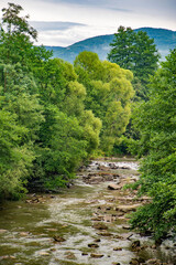 Serene river meanders through lush greenery in mountainous landscape during cloudy day