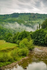 Natural landscape with a stream, lush greenery, and misty mountains in the background during overcast weather