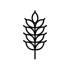 Line art icon a wheat stalk with multiple leaves grain plant