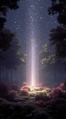 A forest filled with lots of trees and bushes under a starry sky