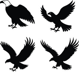Eagle with Spread Wings Illustration