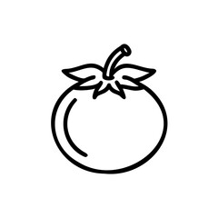 Simple line art icon a tomato on a vine fruit food