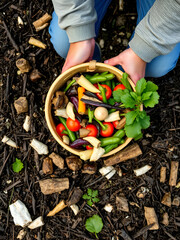 Compost heap pile with bio waste. Farmer with vegetables and fruits food scraps in bucket for compost. Zero waste, composting concept