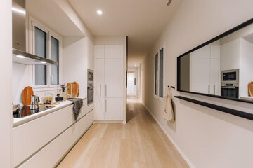 Modern luxury kitchen interior in minimal scandinavian style, 3d render