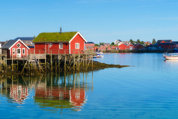 Obraz premium View of a traditional house with moss on the roof in the Lofoten Islands, Norway. Vacation and travel in summer Norway. Photo for background, wallpaper, postcards.
