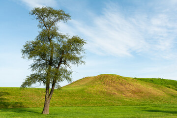 Cahokia Mounds State Historic Site, the largest prehistoric Native American city north of Mexico, on a sunny summer morning.  Collinsville, Illinois, USA.
