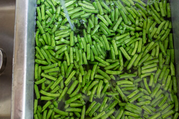 Washing Green Beans in Sink