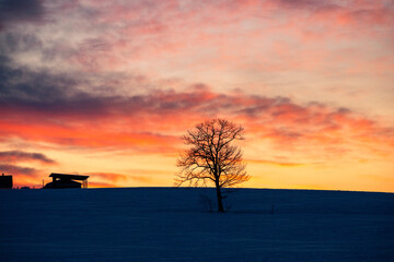 Winter ranch colored by the morning glow