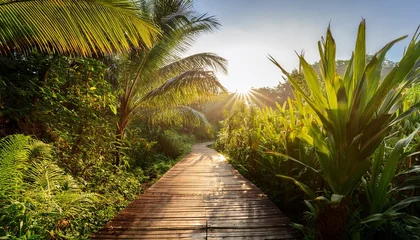  serene tropical pathway a winding wooden walkway through lush palm trees and vibrant foliage under the warm morning sun © Lori