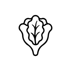 Outline icon a lettuce head on vegetable green