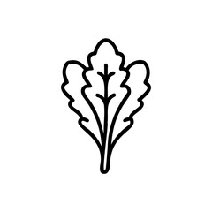 Outline swiss chard leaf icon on vector