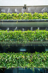 Vertical garden with green foliage and mist irrigation on multi-level facade of parking garage combining sustainable design with functional urban architecture in Bangkok city, Thailand