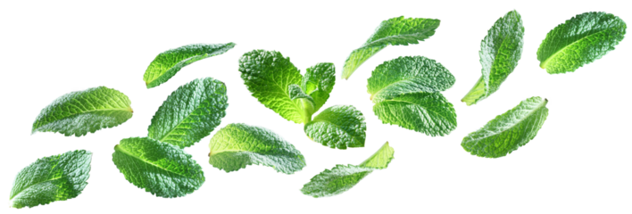 Set of juicy mint leaves flying diagonally, isolated on transparent background.