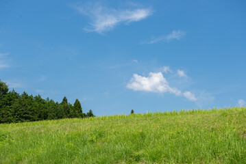 緑の土手と青空