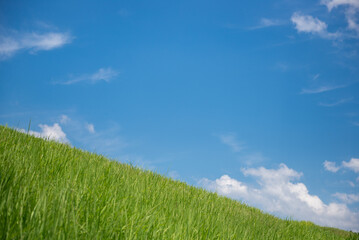 緑の土手と青空