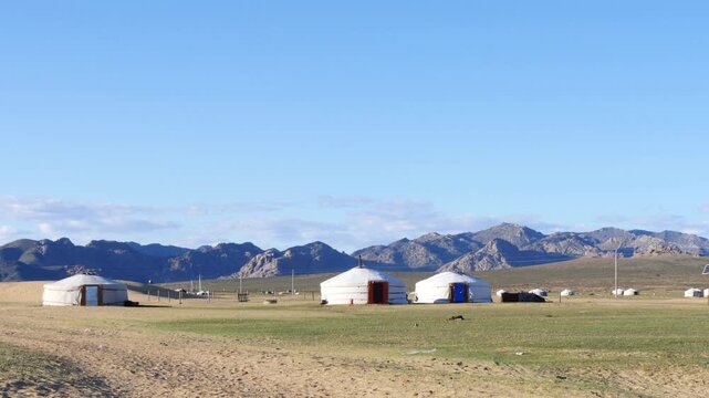 White yurts of Mongolian nomadic herders in the steppe at the foot of low mountains on an autumn sunny day.