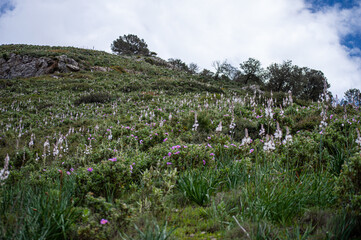 Scenic nature surrounds the hiking trails, offering stunning views and peaceful outdoor experiences...