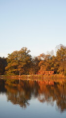 Reflections of autumn colors on a tranquil lake during sunset in a peaceful park setting