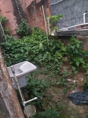 wooden chair in garden