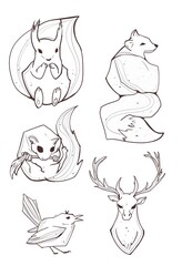 Animal forest deer fox bird squirrel wild fox set animals illustration hand drawn black and white background doodle isolated 