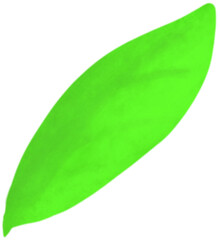 green leaf