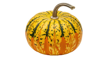 Isolated Ornamental Gourd