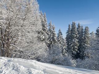 Winter Landscape of Vitosha Mountain, Bulgaria