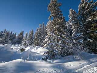 Winter Landscape of Vitosha Mountain, Bulgaria