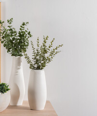Minimalist home decor arrangement with tall ceramic vases housing fresh eucalyptus stems, small succulent in a neutral pot, and a bright, natural wood surface in a tranquil modern-minimal setting.