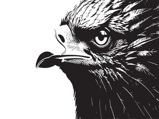 An isolated vector portrait of an eagle's head, showcasing its wild nature, sharp beak, and piercing eye
