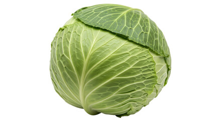 Isolated Cabbage
