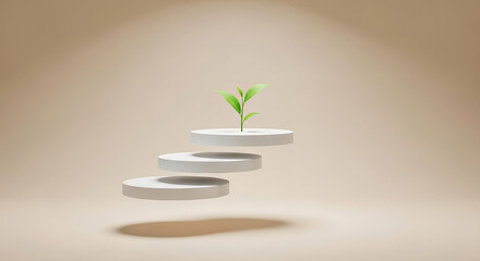 Plant growing on ascending steps