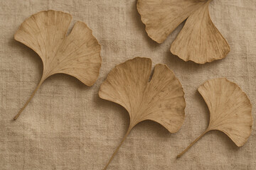 Fan-shaped dried ginkgo leaves are artistically arranged on a soft, neutral linen surface. The earthy tones and delicate textures evoke a sense of calm, nature, and timeless botanical beauty.