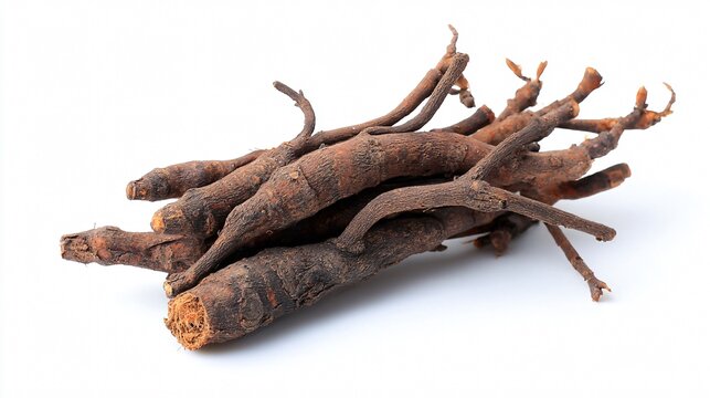 Vibrant Indian Madder Rak Root Isolated on White Background for Botanical Herbal Medicine Concept
