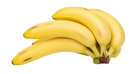 Isolated Bunch of Bananas