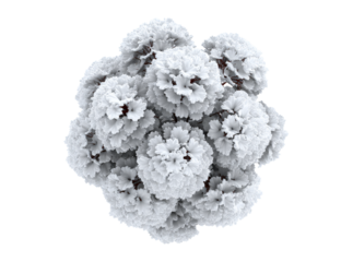 White fractal tree winter snow abstract nature design. Isolated On Transparent Background