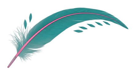 Isolated Teal Feather with Pink Accent
