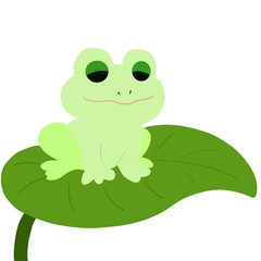 カエルが雨上がりの葉っぱに乗っている