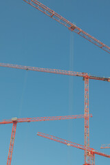Red cranes against the blue sky at the construction site