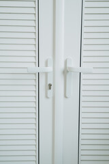 White Modern Door with Sleek Handles and Shutter Design