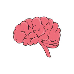 brain. internal organs. educational themes. health themes. ideas. smart. mindset. vector illustration
