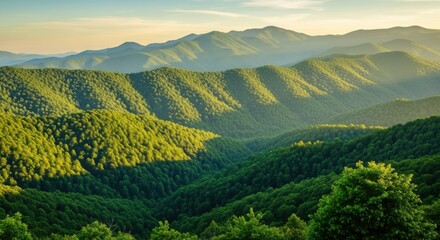 Rolling green mountain ranges bathed in the golden light of sunrise highlighting the lush forest canopy