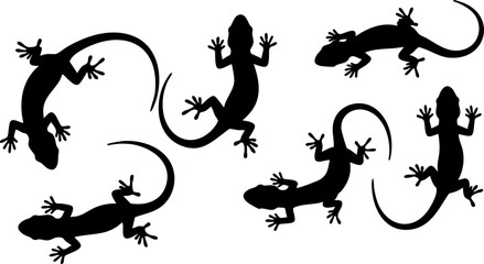 Lizard and Gecko Silhouette Set
