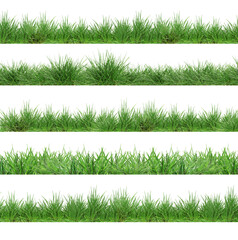 Fresh lush green grass isolated on white, set