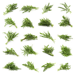 Fresh green arugula on white background, set