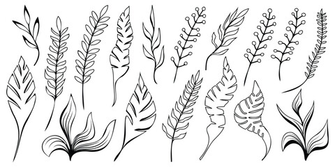 Fototapeta premium Hand drawn plant elements, leaves and vegetation, isolated on a white background, vector design