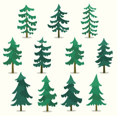 Cartoon Isolated Pine Tree Illustration