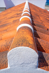 Detail of house roof with selective focus in shallow depth of field. Santa Maria-Azores-Portugal.